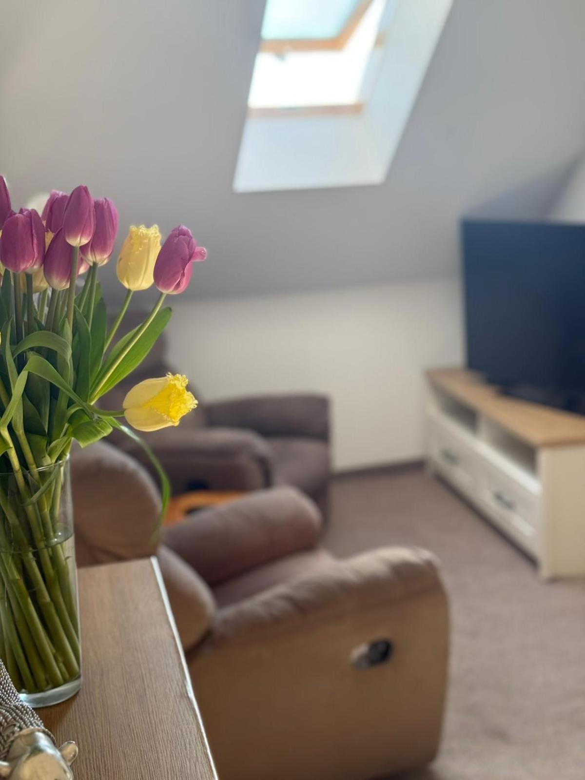 イノブロツワフ Rynek 14 & Restaurant Bed & Breakfast エクステリア 写真